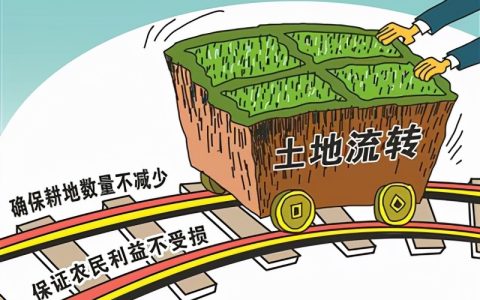 流转土地国家也有补贴，不知道这个政策，分分钟损失上万元