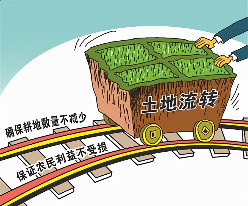 流转土地国家也有补贴，不知道这个政策，分分钟损失上万元
