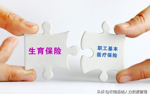 生育保险医保合并生育津贴及2025年生育险报销标准