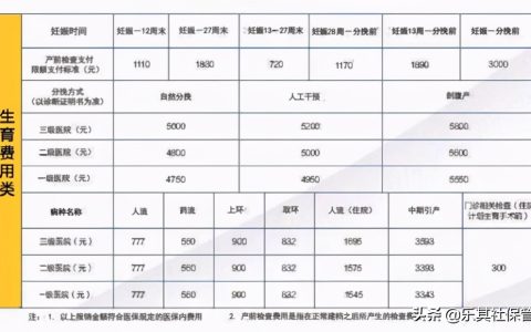 生育保险要交多久才能报销？
