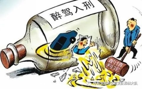 酒驾入刑、酒驾危害，你知多少？