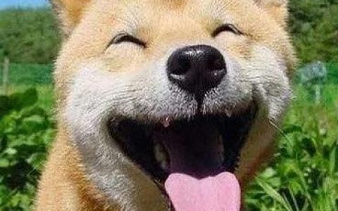 中国法定放假日有哪些