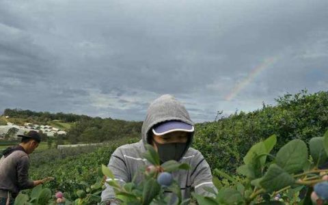 出国劳务签订合同时要注意什么？