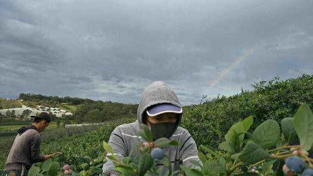 出国劳务签订合同时要注意什么？