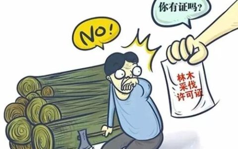 滥伐自己的林木，林木如何处理？