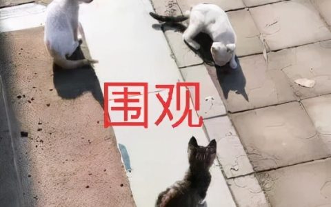 男子被人在朋友圈辱骂长达两年，起诉后法院这么判