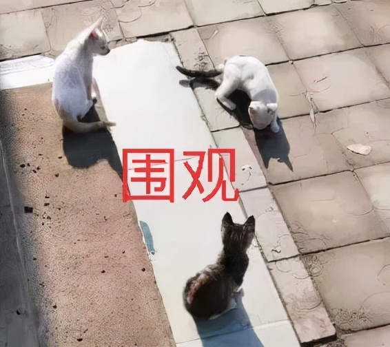 男子被人在朋友圈辱骂长达两年，起诉后法院这么判
