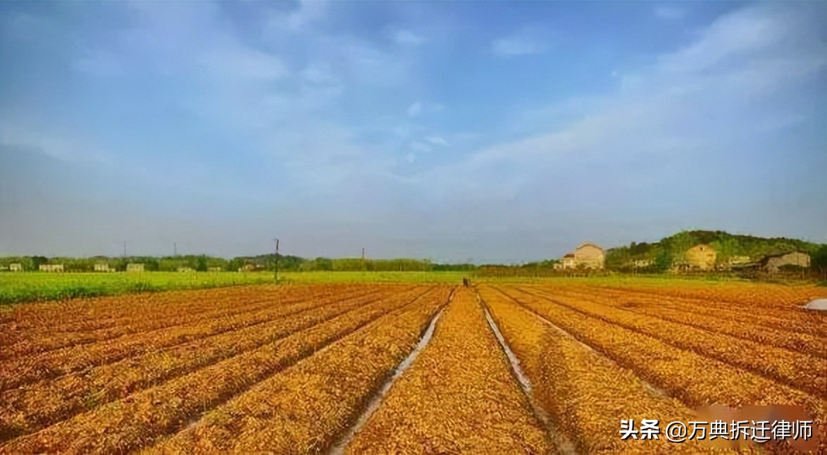 新土地管理法实施后，土地征收必须经过这些流程