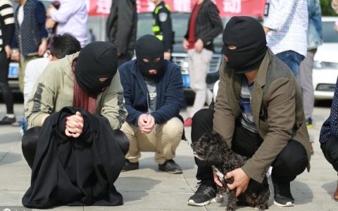 什么是脱逃罪？犯脱逃罪如何判刑？