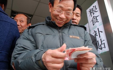 2022粮食补贴几月发放？一亩地可领多少钱？哪些人可领？一文解读