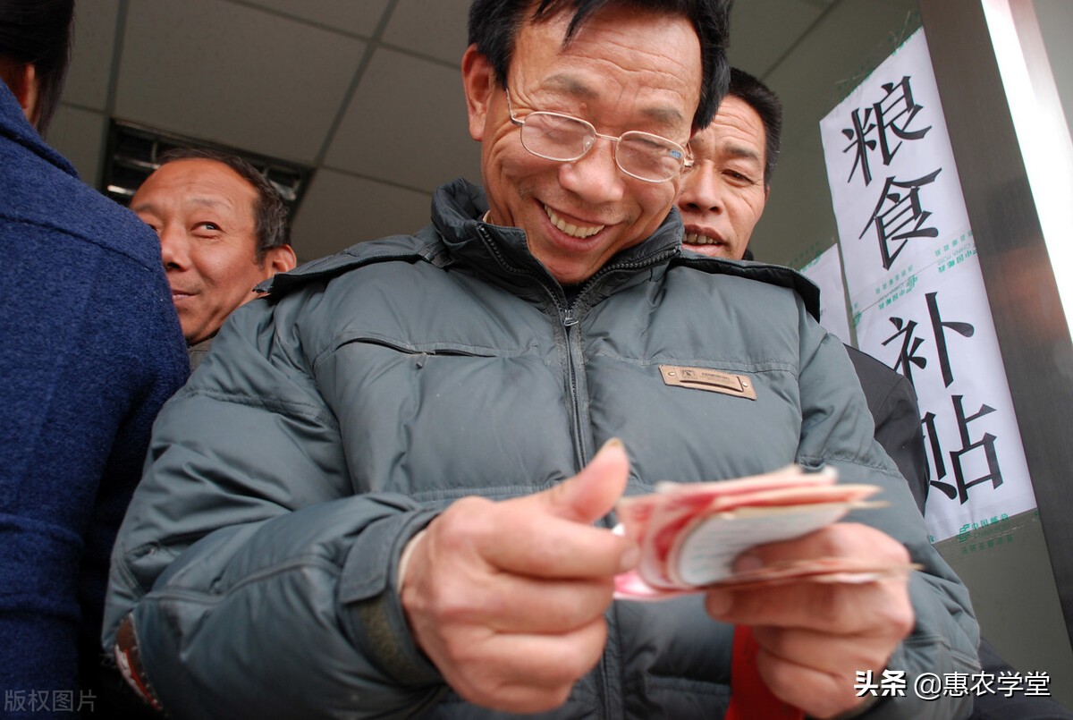 2022粮食补贴几月发放?一亩地可领多少钱?哪些人可领?一文解读