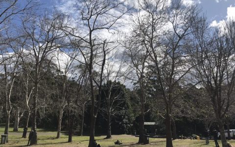 去澳大利亚留学要哪些条件