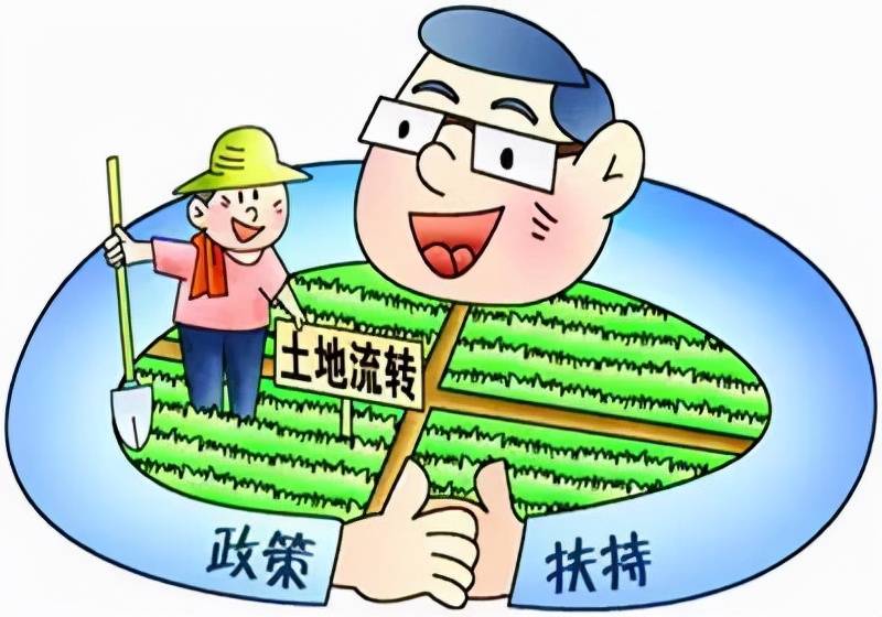 流转土地国家也有补贴，不知道这个政策，分分钟损失上万元