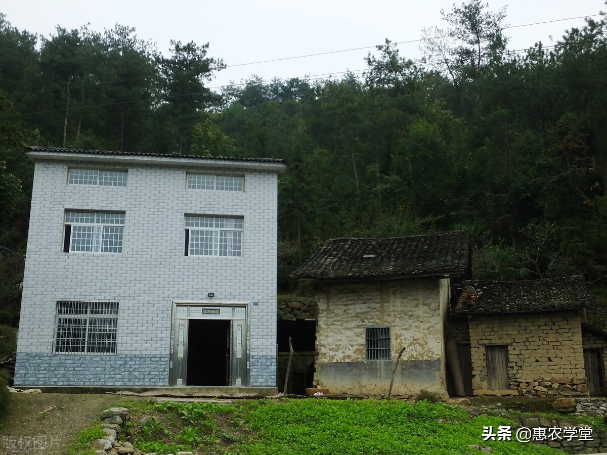 农村宅基地怎么申请？要满足什么条件？准备哪些材料？一文全解