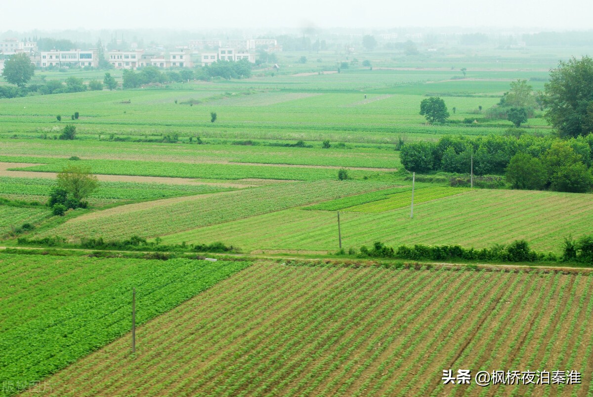 农村土地承包合同，或许你能用着