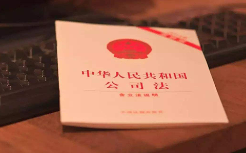 公司法第二十条解读