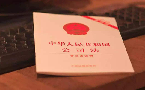 公司法第二十条解读