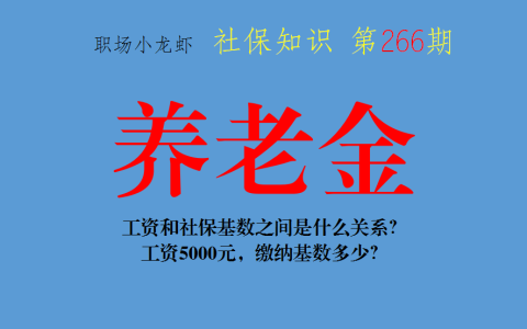 企业养老保险缴费基数是多少及企业职工养老保险缴费标准