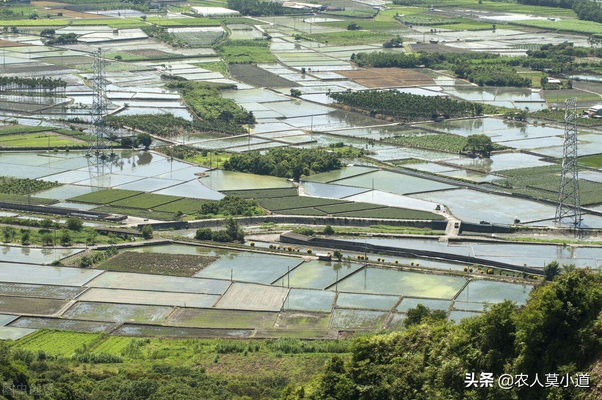 农村违章建筑会不会被强行拆掉？哪些情况可以拆除呢？