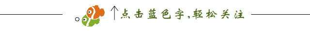 人民法院法庭规则