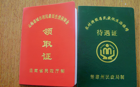 涨了！多地上调最低生活保障标准，最高超过万元，每月能领多少钱