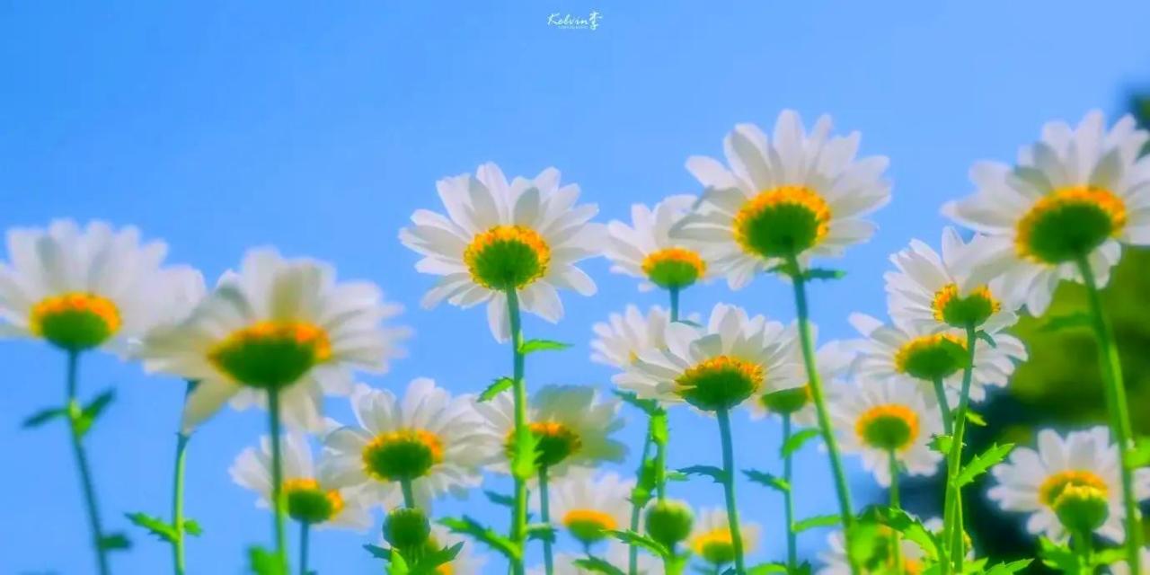 交通事故赔偿