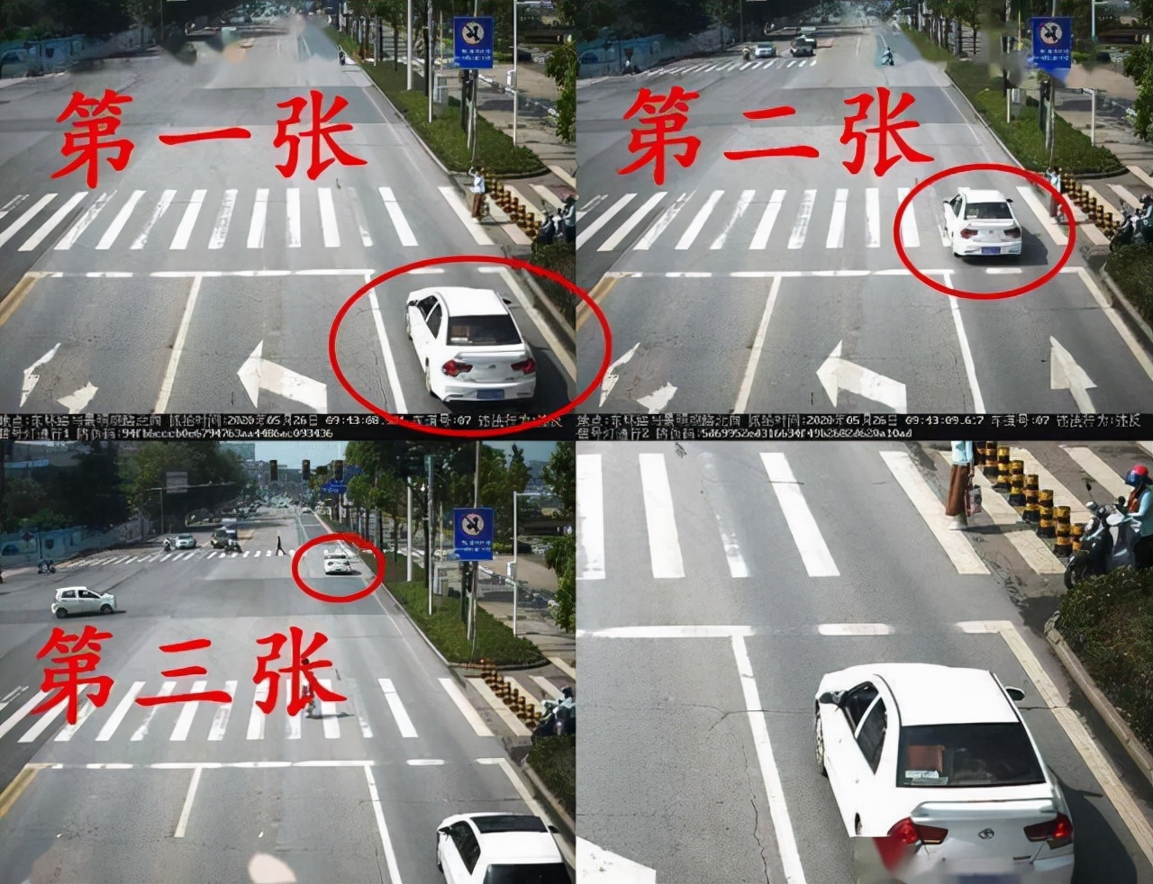闯红灯违章后,多久可以查到违章信息