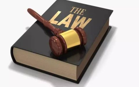 刑事案件：第一审刑事判决书的判决结果是否有效？