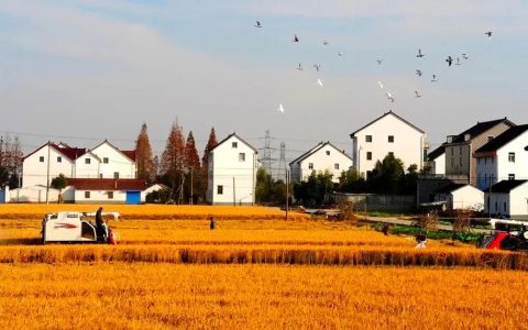 农村征地拆迁该怎么补偿？《土地管理法》已经说清楚了