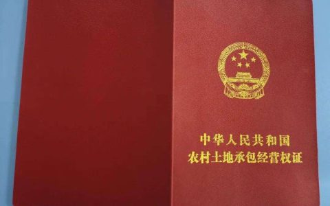 法院怎样审查行政行为的合法性？