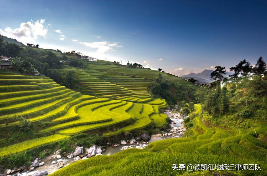 《农村土地政策》解读，严禁这六种行为