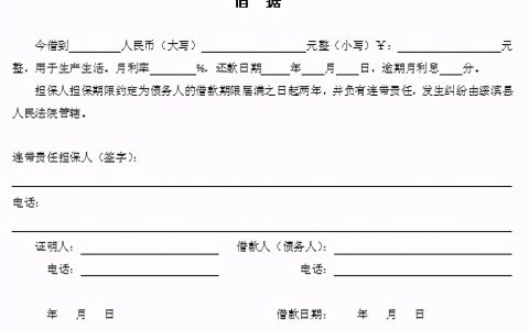 借据的格式怎么写的及借据的正规法律范本