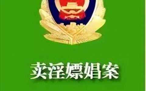 卖淫嫖娼案取证要点与实务解析