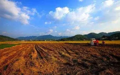 农村土地征收补偿标准大解析！土地补偿原则是什么？