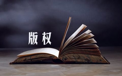 「著作权保护」什么是著作权保护措施？