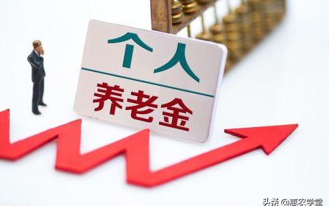 个人交养老保险多少钱及个人交养老保险价格表
