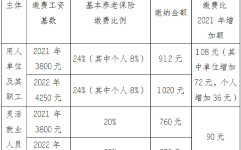 2025年社保缴费基数标准及社保个人缴费明细表