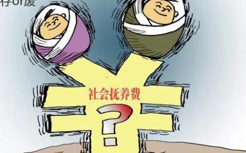 社会抚养费具体是指什么？