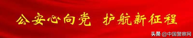 “窝藏”“包庇”如何定罪？两高司法解释作出细化规定