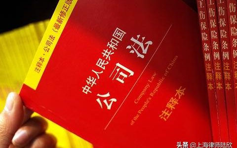 什么叫关联企业两家及最高法院关于关联公司的认定