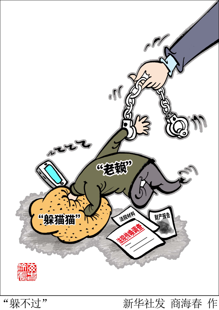 首度亮相的民事强制执行法草案亮点解析