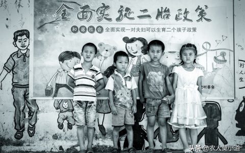 农村二胎有什么补助？很多人只管生二胎，却不知道有啥补助和福利