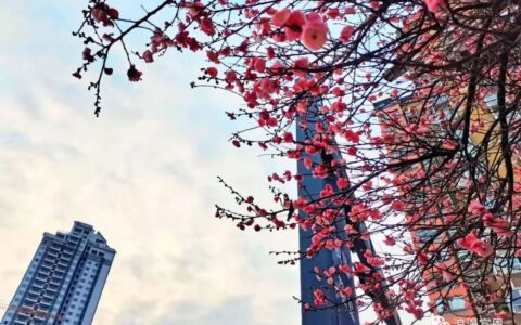学习 ‖ 最新《旅游法》全文