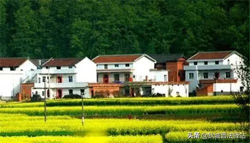 《民法典》涉及农村集体、承包地、宅基地等条款汇总