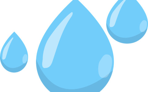 【世界水日·中国水周】水资源保护法律知识