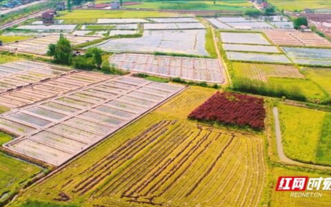 新版《土地管理法实施条例》正式施行 这些重点你要掌握