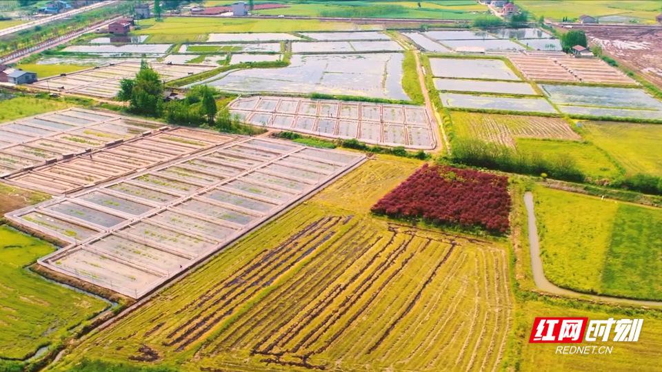 新版《土地管理法实施条例》正式施行 这些重点你要掌握