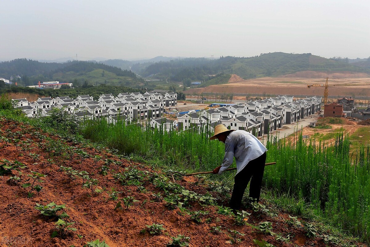 新《农村土地承包法》有哪些变化？