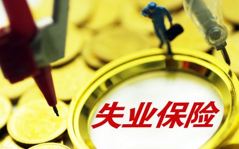 什么是失业保险，我该怎么领？