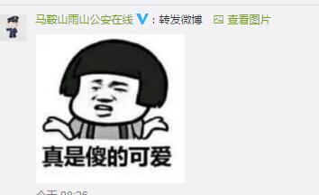 女子辱骂交警称“你只能拘我24小时” 然后，她被拘了3天…